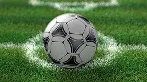 多国马拉松发烧友齐聚黄河口创纪录起跑